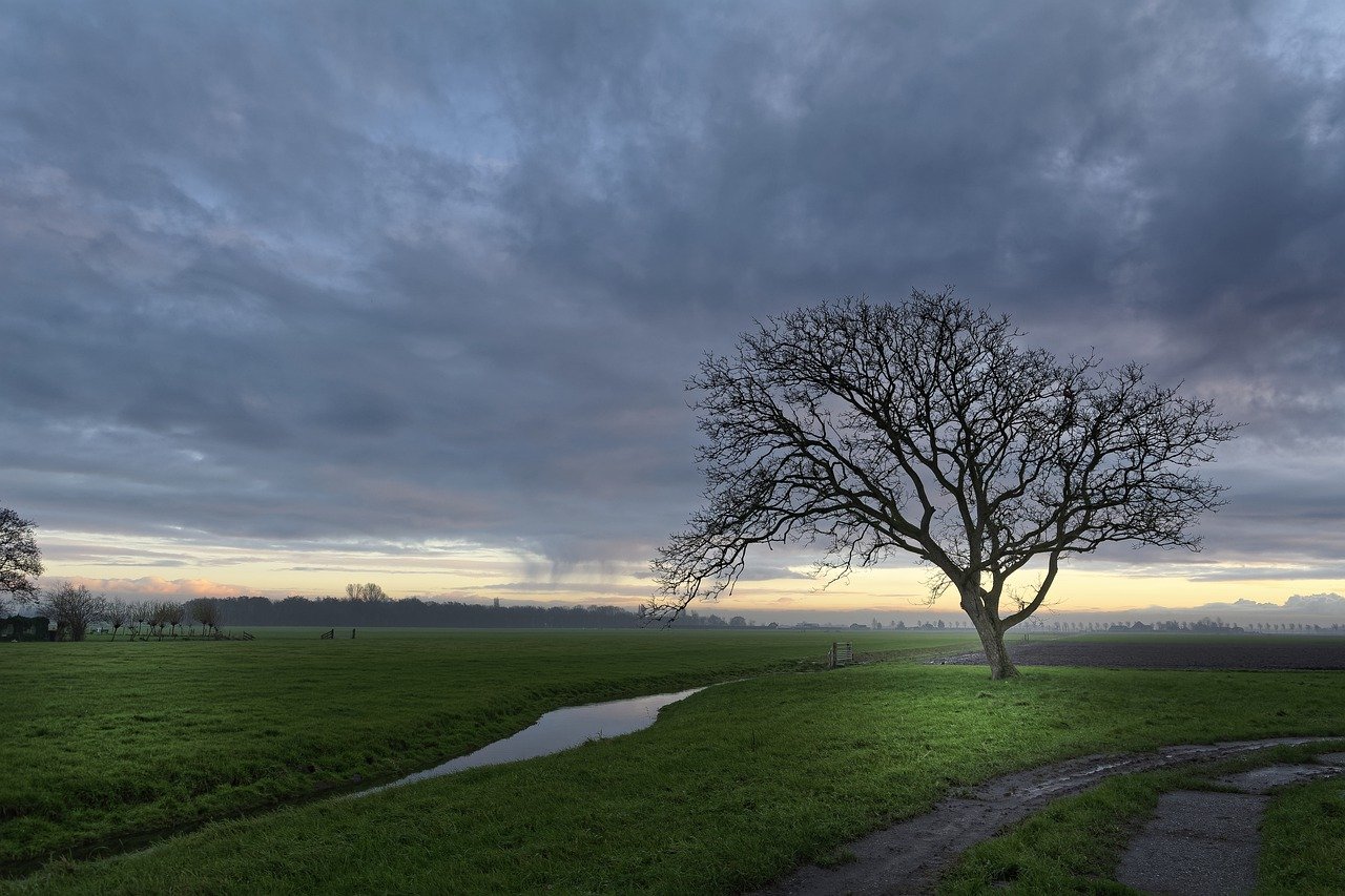 clouds, pasture, sunlight-7636282.jpg